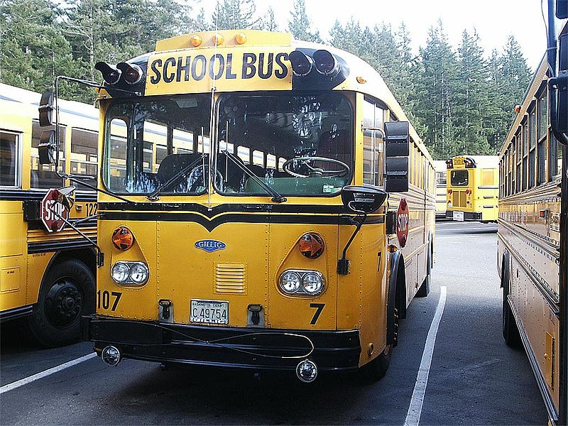 1979 Gillig Model VTF555D school bus