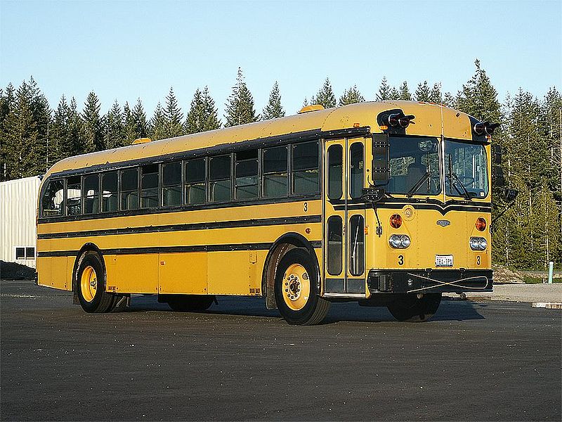 1979 Model 636D-12