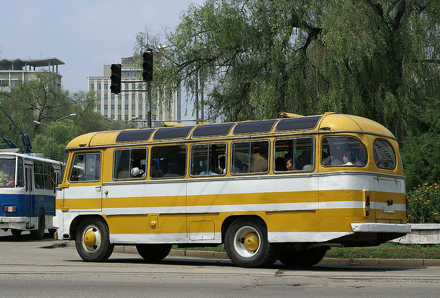 19 PAZ 672 bus in Pyongyang