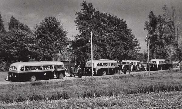 1952-v-l-n-r-scania-vabis-ford-met-carrosserie-van-jongerius-ford-transit-met-carrosserie-van-verheul-en-bus-8-kromhout