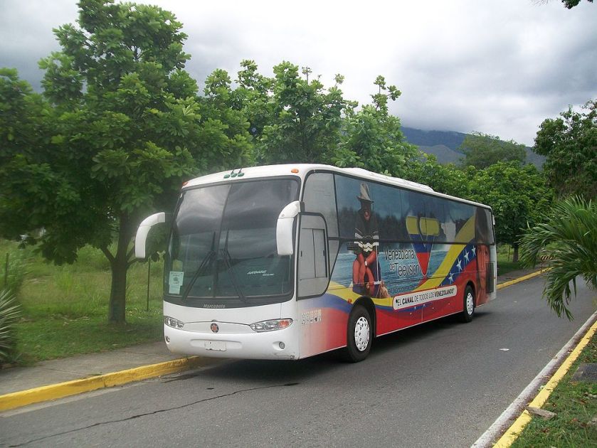 2 Bus VTV