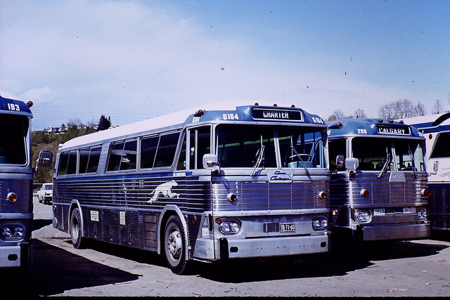 Greyhound Canada bus G164 (MCI MC-2)