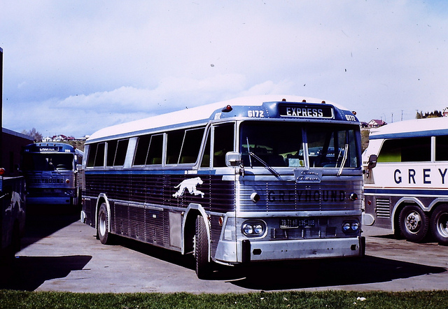 Greyhound Canada bus G172 (MCI MC-3)