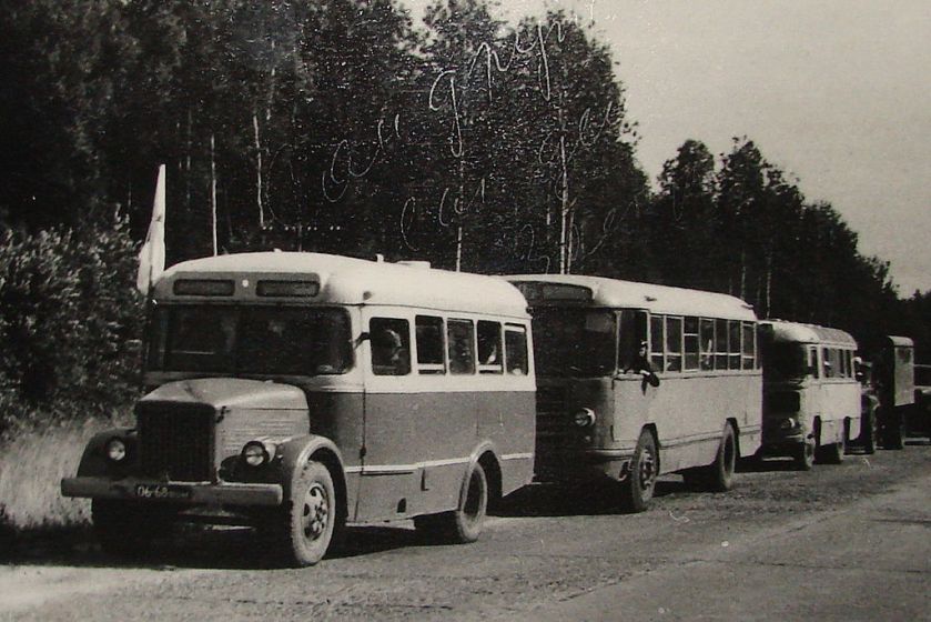 PAZ Buses in Vologda 84