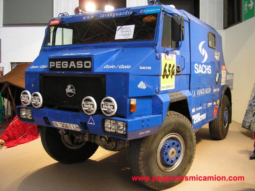Pegaso Dakar (2)