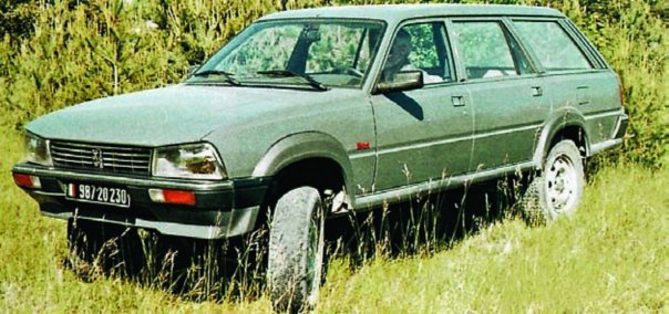 1987 Peugeot-Dangel 505, 4x4