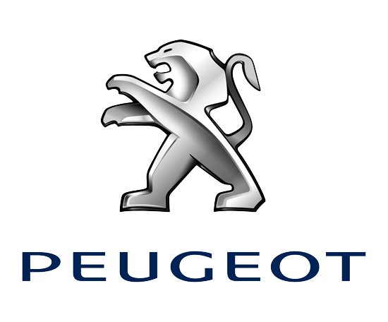 2009 Peugeot logo