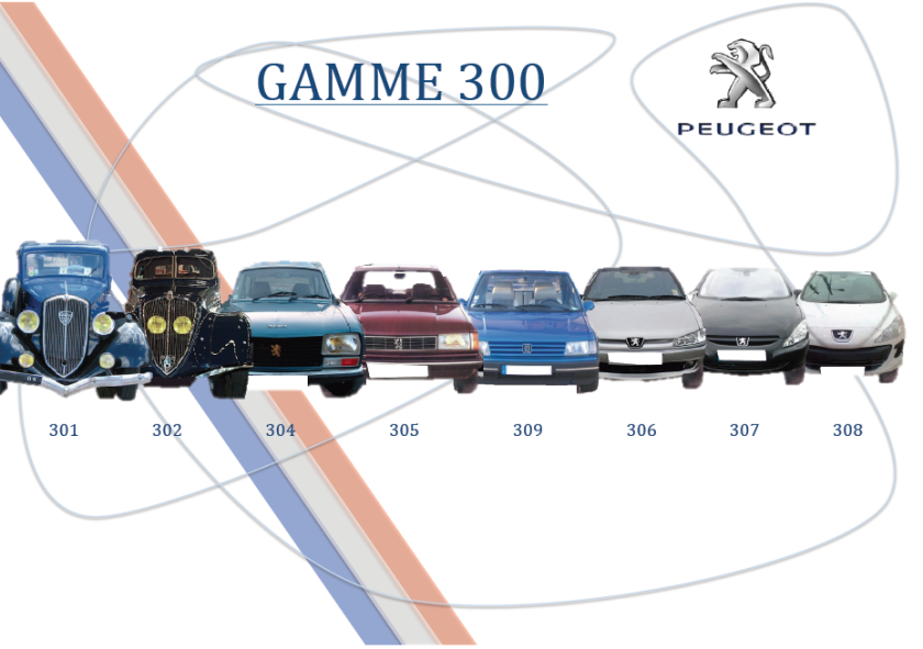 Peugeot Gamme 300
