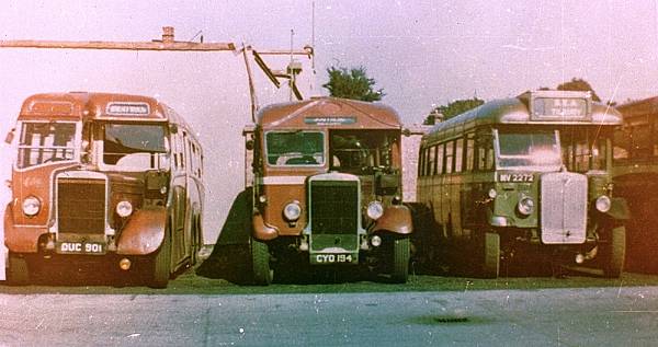 1938 Leyland TS7Ds LT25, DUC901, and LT22, CYO194, alongside Regal MV2272 with Heaver body