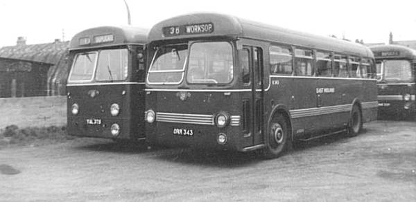 1954 Leyland Tiger Cubs, 375 with a Weymann body and 343 with a Saunders-Roe body