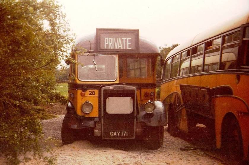 1950 Leyland Tiger PS1 with Willowbrook body