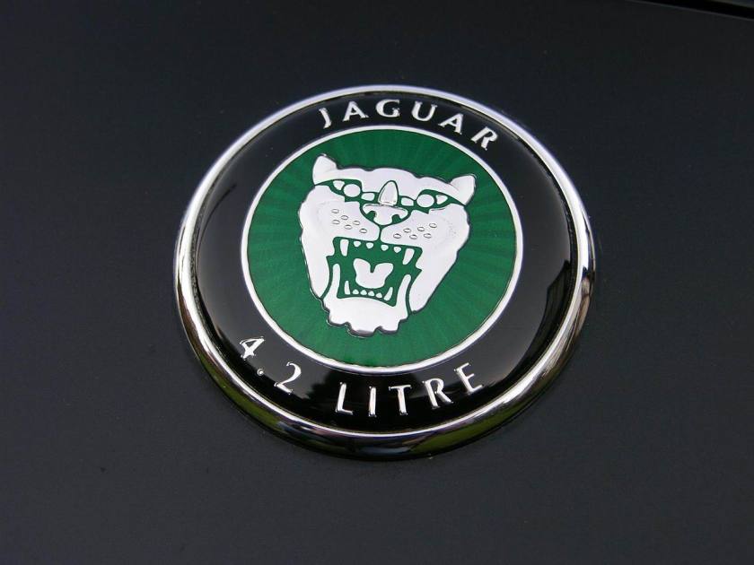 1950 Jaguar XK8 Convertible The Car Spy logo