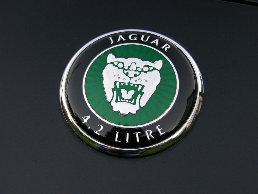 Jaguar XK8 Convertible The Car Spy logo