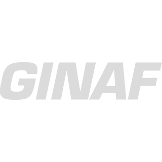 logo-ginaf-dbdbdb