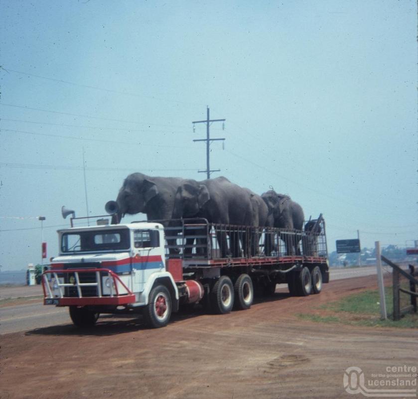 Willeme GM003 Elephanttransport
