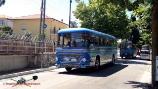 1965 Lancia Esagamma (bus)