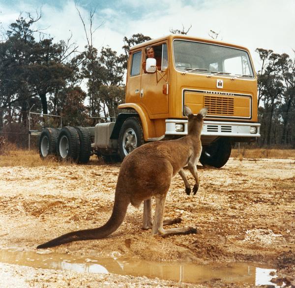 1975 Australian Truck Driver waits for Kangaroo