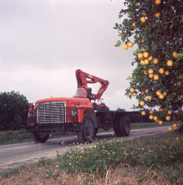 1977 Man Driving Truck with Hi-Lift Equipment