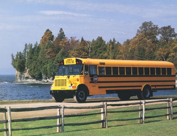 1994 International 3600 Vista School Bus