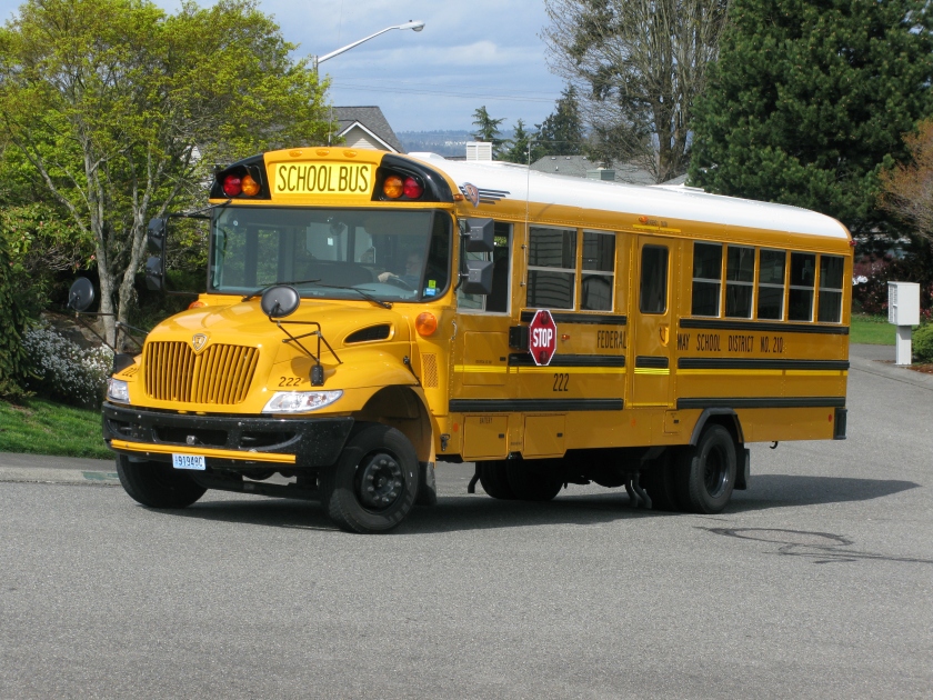IC BE school bus