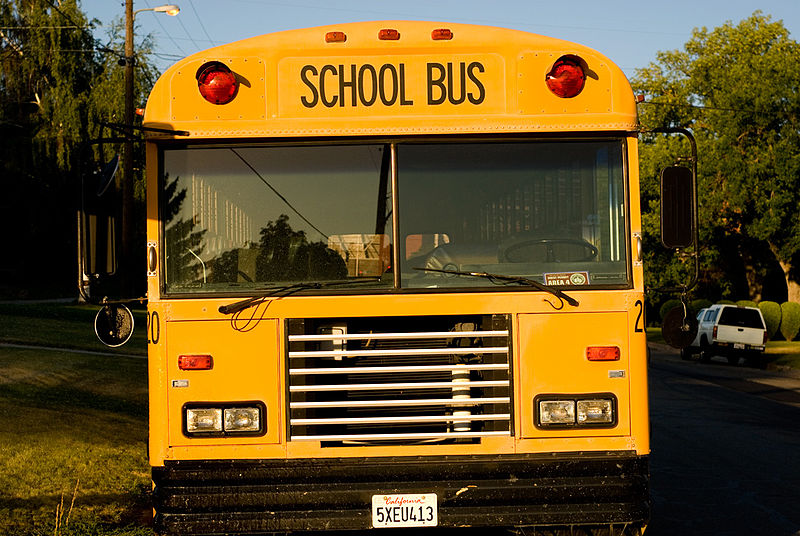 Ward President School Bus