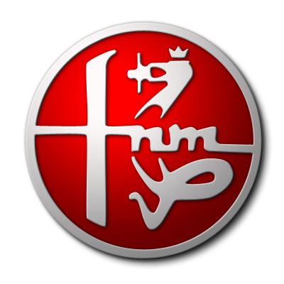 fnm logo silver